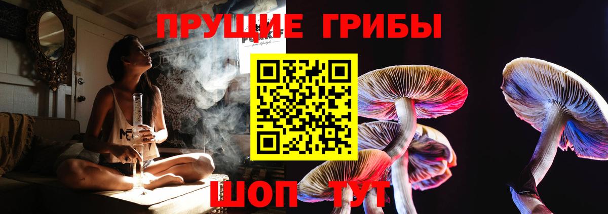 Галлюциногенные грибы Psilocybe  Вход с VPN  купить наркотики сайты  Южноуральск 